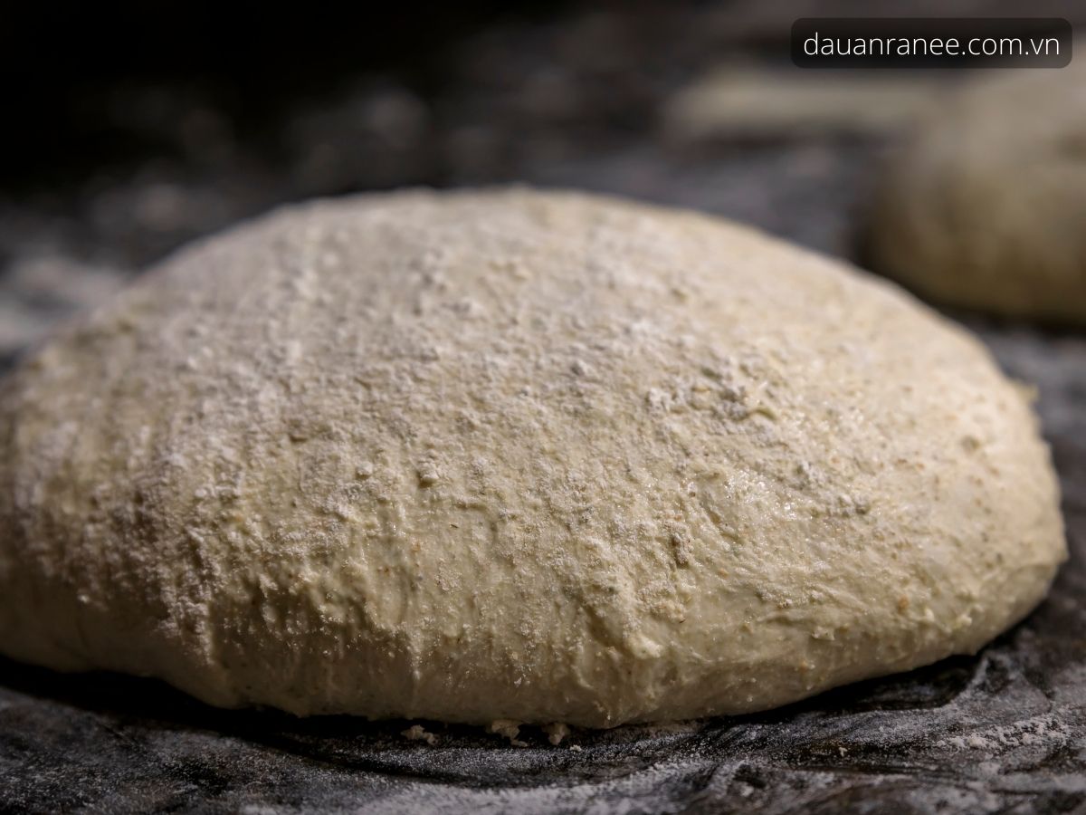 Cách ủ bột làm bánh bao thường 