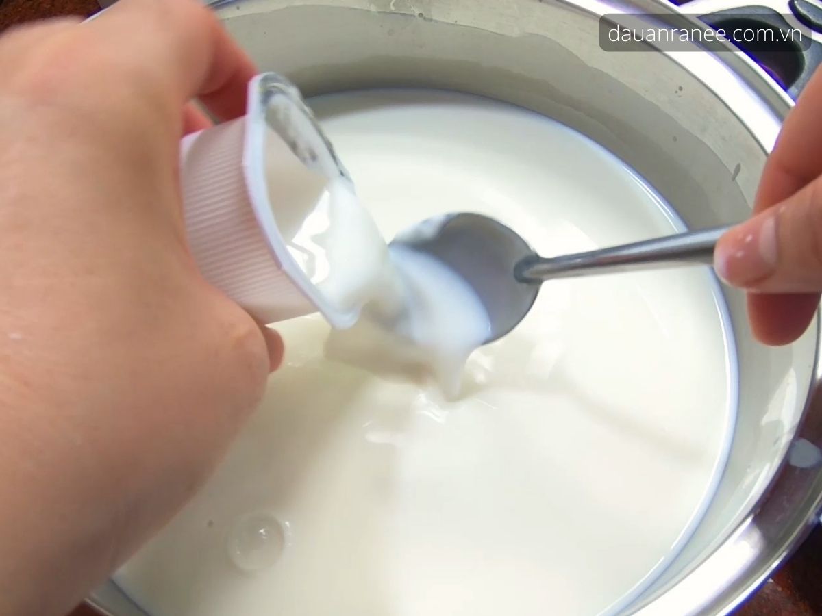 Cách làm sữa chua bằng sữa đặc