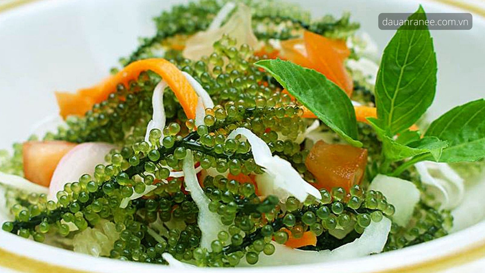 Cách làm rong nho Salad ăn kèm cá ngừ