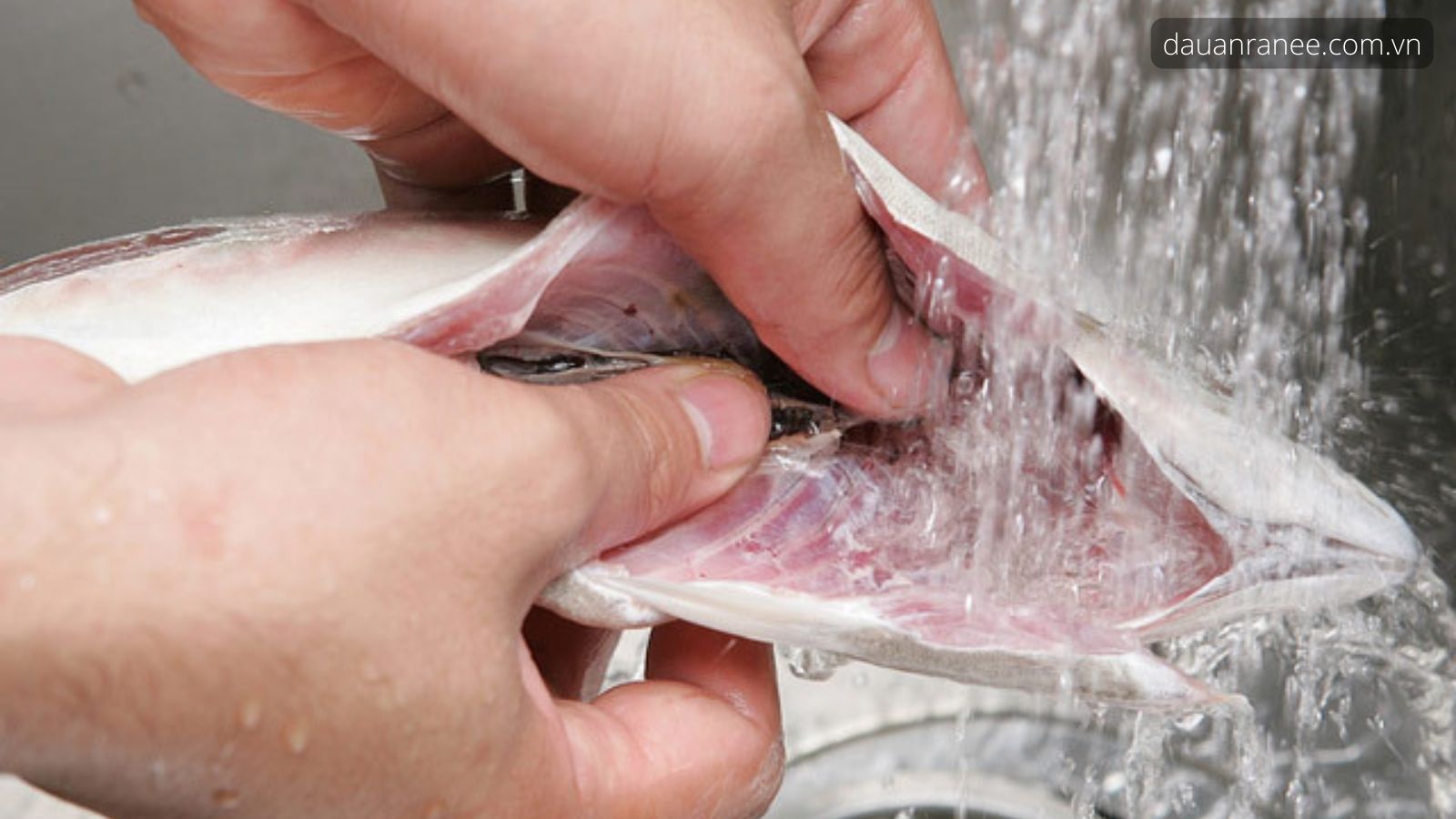 Rửa cá bằng nước lạnh