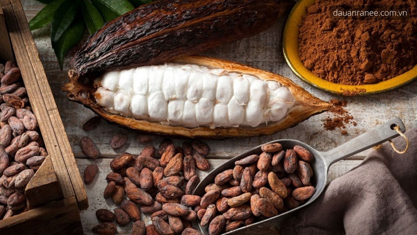 Cacao Mười Cương thơm ngon, nguyên chất