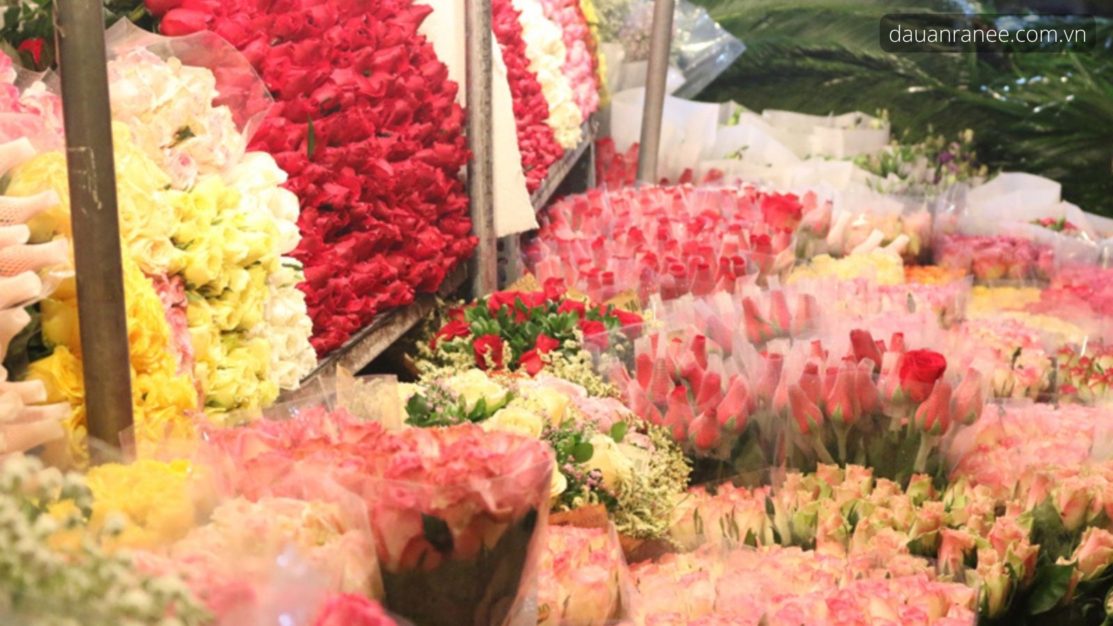 Hoa tươi ở Đà Lạt – Đặc trưng của Thành phố hoa