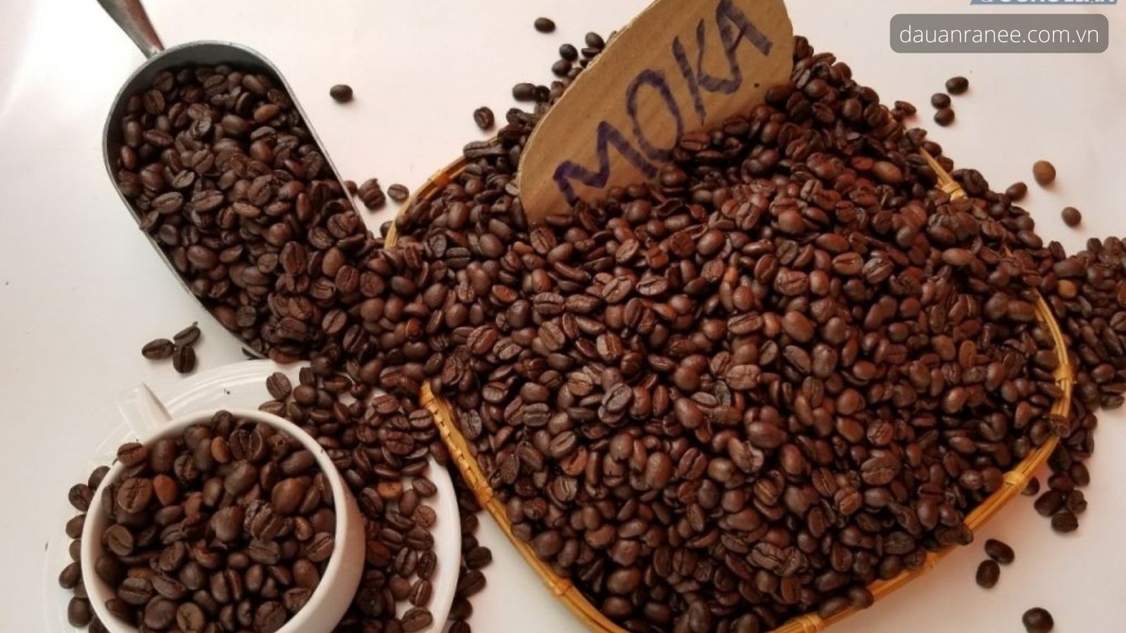 Cà phê Cầu Đất – Moka hảo hạng Đà Lạt - Món đặc sản Đà Lạt