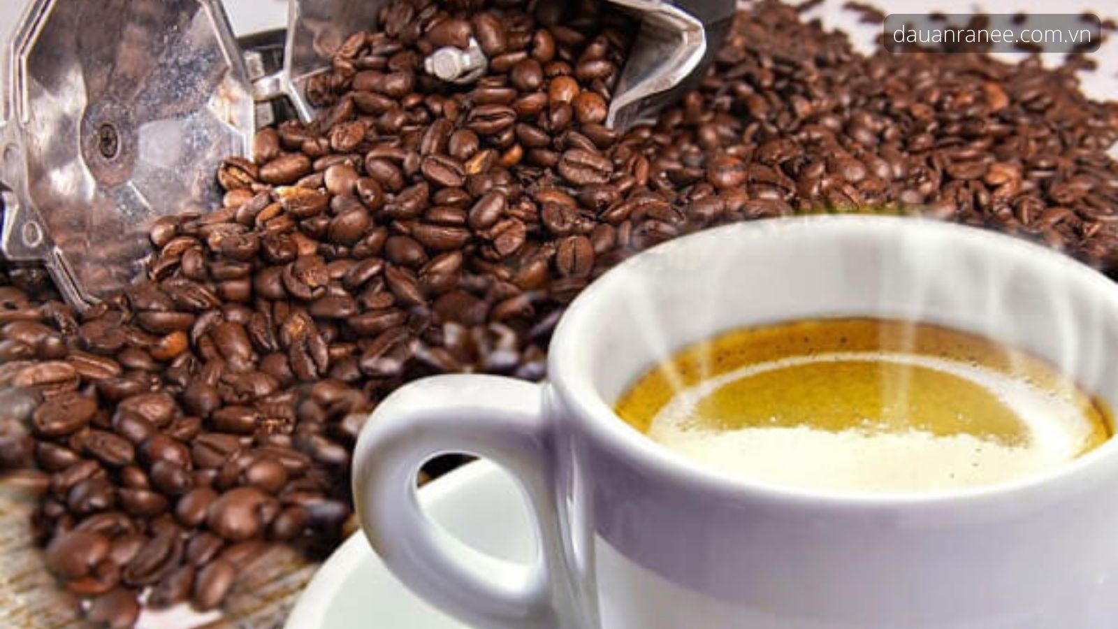 Cà phê Cầu Đất – Moka hảo hạng Đà Lạt - Món đặc sản Đà Lạt
