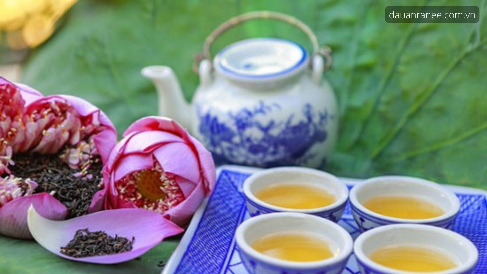 Trà sen Tây Hồ “Thiên cổ đệ nhất trà” - Đặc sản Hà Nội vào mùa thu