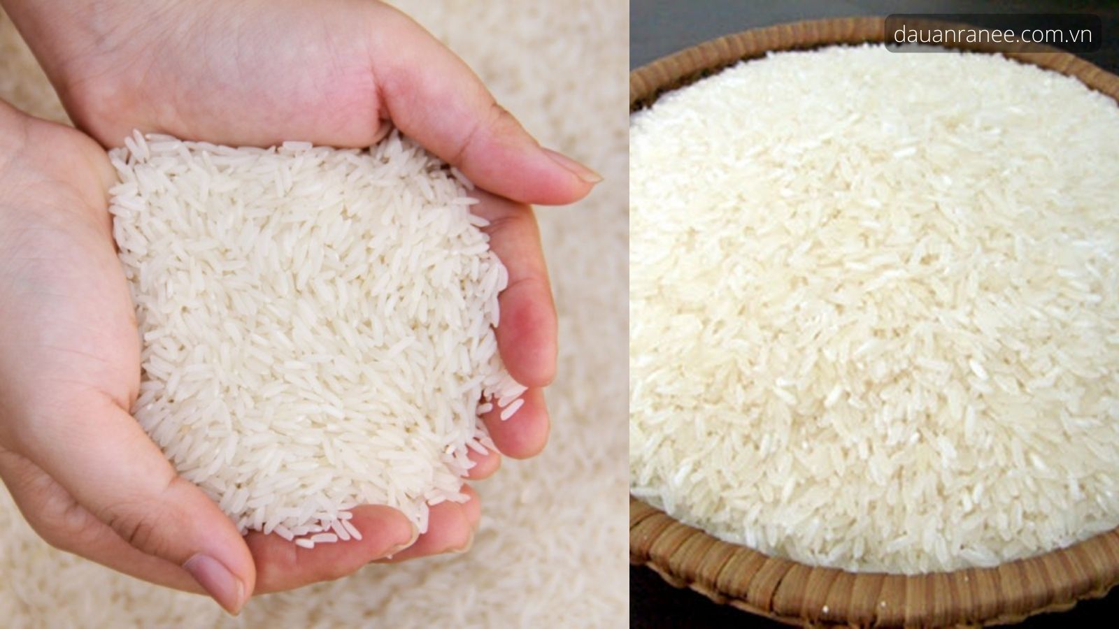 Đặc sản Nam Định – Gạo tám thơm