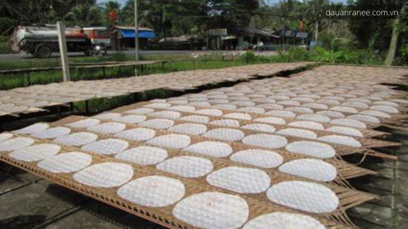 Bánh tráng Hòa Đa – Đặc sản Phú Yên bình dị